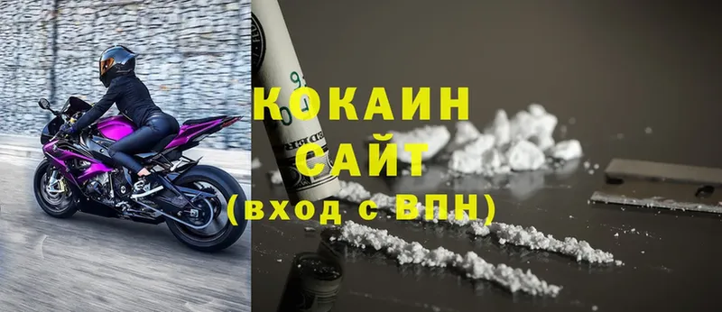 как найти   Ивангород  OMG ссылка  Cocaine Fish Scale 